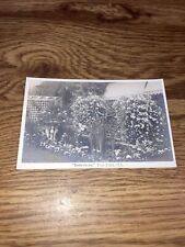 Vintage Postcard Benvenuto Tod Inlet, VI picture