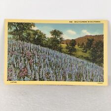 VTG Postcard #662 Wild Flowers In California Lupine 1A-H432 Western Publishing picture