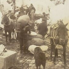 Street Scene Sheep Camp Alaska Miners Tents Panning Gold Mining Photo Stereoview picture