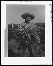 Edinburg,Texas,TX,Hidalgo County,Farm Security Administration,1939,FSA 1 picture
