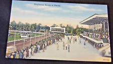Greyhound Racing In Florida  Vintage Souvenir Postcard-Scarce Scene picture