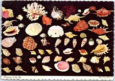 Postcard - Treasure of the Sea picture