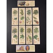Vtg Ty-phoo Tea Cards Trees of the Countryside 1938 + British History / Birds picture