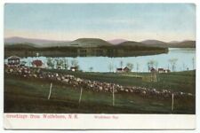 Wolfeboro Bay NH Greetings Old Postcard New Hampshire picture