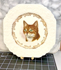 Vintage Tabby w green eyes Cat Plate w/ Gold Trim; Lord Nelson Pottery England picture