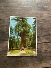 Postcard Chandelier Drive-Thru Tree Redwood Highway Leggett CA California   L625 picture