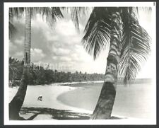 VINTAGE PRESS PHOTO / HOTEL DORADO BEACH / DORADO PUERTO RICO 1982 #24 picture