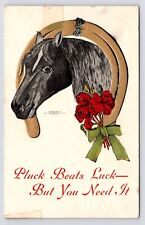 c1907 Horse & Horseshoe Portrait H.C. Westerhouse PLUCK BEATS LUCK Art Postcard picture