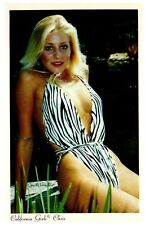 Beautiful Woman Swimsuit c.1980 Pinup Cheesecake CHRIS California Girls Postcard picture