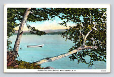c1930 WB Postcard Wolfeboro NH New Hampshire Along the Lake Shore picture