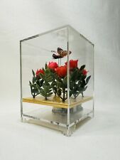Vintage Acrylic Lucite Music Box Rose Action Butterflies 5 1/2