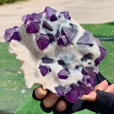 1.51LB Natural purple cubic fluorite mineral crystal sample/China picture