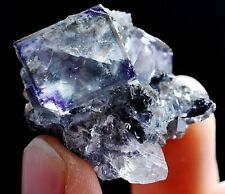 24g Natura Clear Purple FLUORITE Wolframite Mineral Specimen/Yaogangxian China picture