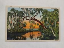 Bayou Scene, Greetings From Winona Mississippi MS Postcard P003E picture