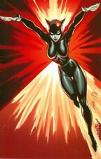 Miss Fury #1 Campbell Virgin Variant VF 2013 Stock Image picture