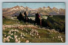 WA-Washington, Tatoosh Range From Paradise Valley, Scenic View Vintage Postcard picture