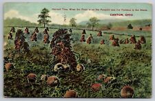 Harvest Time Frost on the Pumpkins Canton Ohio OH 1910 Postcard picture