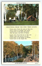 1920s MAINE GREETINGS FROM THE PINE TREE STATE CAMPING BIRCHES POSTCARD P3409 picture