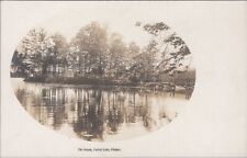 The Island Forest Lake, Palmer Massachusetts c1900s RPPC Photo Postcard picture