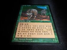 Timber Wolves (Korean FBB) 4th Edition (NM/LP) MTG Magic the Gathering picture