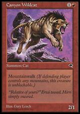 MTG: Canyon Wildcat - Tempest - Magic Card picture