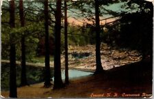 Postcard New Hampshire Concord Contoocook River Antique c1910s NH Pine Trees picture