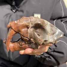 450g Natural Unknown Quartz Hand Carved Saber-toothed tiger Skull Crystal Reiki  picture