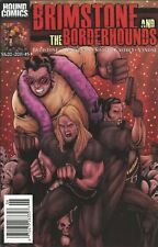 Brimstone And The Borderhounds #5 VF; Hound | we combine shipping picture