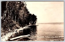 Postcard RPPC, Natures Wonderland, Hubbard Lake, Shoreline Michigan Posted 1955 picture