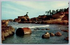 Boiler Bay Oregon Joe Briggs Landing Waterfront Shoreline Coast Vintage Postcard picture