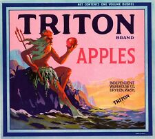 10 TRITON Brand Original Apple Fruit Crate Labels - Dryden, Washington picture