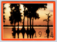 Vintage Postcard Florida Cypress 8x Cancels West Palm Beach Florida picture