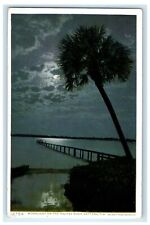 c1910's Moonlight On The Halifax River Daytona Florida FL Phostint Postcard picture