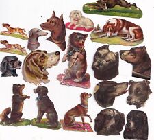 1800's Victorian Cut Out Die Cut Scrap Lot - Dogs Bust -Up to 2.75 inches picture