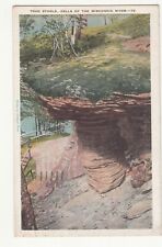 Toad Stools Dells of the Wisconsin River Vintage Postcard 1932 picture