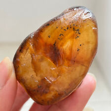 96g Bonsai Suiseki-Natural Gobi Agate Eyes Stone-Rare Stunning Viewing  WD6 picture