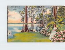 Postcard Scenic Beauty in Cypress Gardens Florida USA picture
