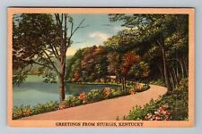Sturgis KY-Kentucky Greetings Scenic Roadway Vintage c1948 Souvenir Postcard picture