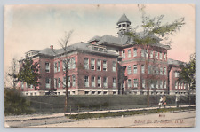 Public School No. 17, Buffalo NY, Woehler's Hand-Colored Postcard #8016 picture
