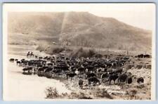1920's RPPC GRANGE CATTLE WYOMING MOUNTAINS REAL PHOTO POSTCARD picture