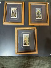 Imperial Wild Flowers 1940’s Tobacco Cards. Set Of 3 picture