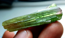 54 Carats Top Quality Excellent Bi-Color Paprok Tourmaline Terminated Crystal picture