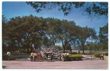 Madison WI Vilas Park Monkey Island c1957 Postcard ~ Wisconsin picture