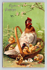 1909 TUCK's Easter Chicks & Momma Hen in Basket Postcard picture