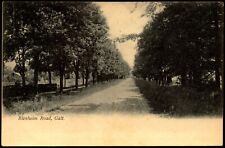 Postcard Galt Ontario Canada Blenheim Road 1906 C18 picture