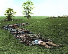 CONFEDERATE DEAD AT ANTIETAM T Civil War PHOTO  (168-B) picture