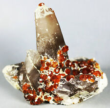 Top  Spessartine Garnet with Smoky Quartz Crystal Mineral Specimen picture