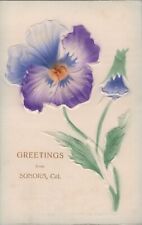 Greetings from Sonora California Floral Greeting 1909 Postcard picture