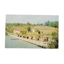 1959 Brookfield Floating Bridge Horseback Riding Horses Horse postcard           picture