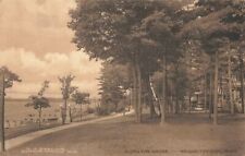 NW Wequetonsing Harbor Springs MI c.1910 STEAMER FERRY Era Cottages & Resorts picture